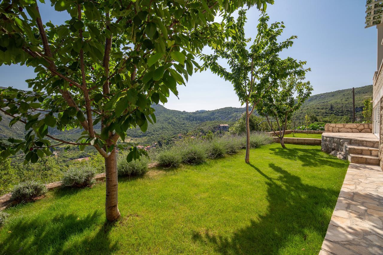 Green Paradise Apartments Mokošica Exteriér fotografie